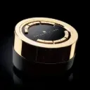 Model P1 Remote